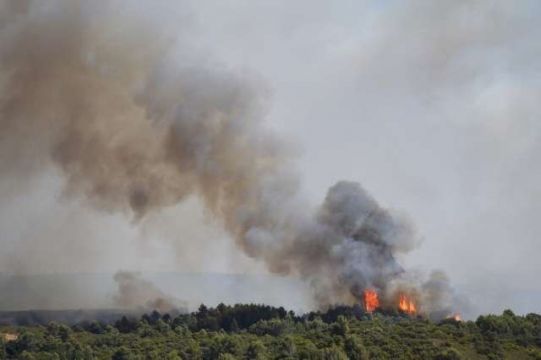 Fransa'da çıkan yangınların kundaklayıcısı 20 yıldır itfaiyecilik yapan kişi çıktı.